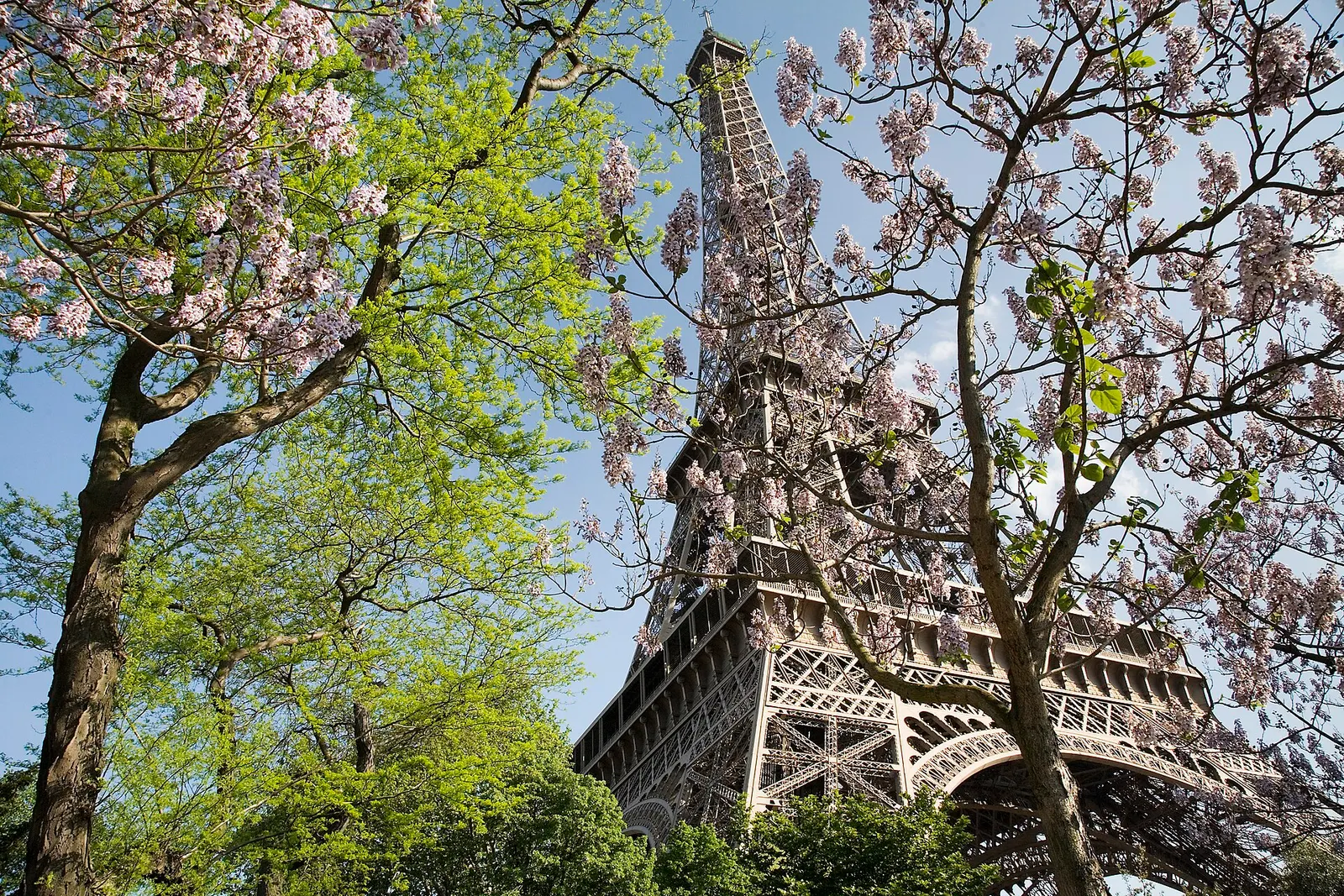 The Eiffel Tower seen from across the Seine